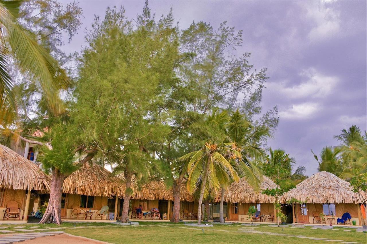 Royal Beach Arugam Bay Exterior photo